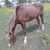 Cynthia Ferrell's profile image