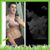 Patrick Grogg's profile image