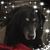 Michael Lynn Schmidt's profile image