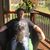 Gina Russell Carlson's profile image