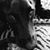 Joel Jason Rodriguez's profile image