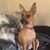 Amy J Haggan's profile image