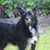 Susan Crowley's profile image