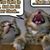 Deb Houser's profile image