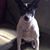 Sherry Hendrix's profile image
