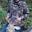 Scott Stoffel's profile image