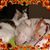 Tina Serrita Haynes's profile image