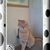 Maryann Mendoza's profile image