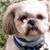 Carol Turner's profile image