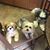 Debbie A Kiser's profile image