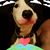 Louis Pengue's profile image