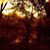 Wenita Otite's profile image