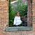 Viktoria Gulnik's profile image