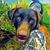 Tim John's profile image