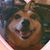 Jamie L Taylor's profile image
