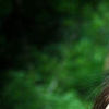 Leona P.'s profile image