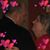 Cheryl Baldwin Pekar's profile image
