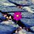 Donna George's profile image