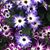 Kathy Wright's profile image