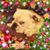 Fran Burkhead's profile image
