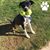 Nicole Martin's profile image