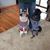 Brenda Miston's profile image