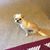 Lynda Marie's profile image
