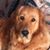 Amy Lynn Clark's profile image