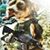 Israel Salas's profile image
