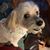 Lori Ann Allen's profile image