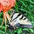 Linda M. Nelson's profile image