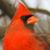Patty Ann's profile image