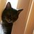 Bob Kinney's profile image