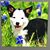 Jane Davis's profile image