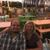 Chandra Jacobsen Ruch's profile image
