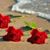 Carmen Rodriguez Lopez's profile image