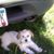 Arlis Burns's profile image