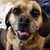 Anne Travers's profile image