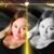 Crystal Whetstone's profile image