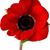 Lisa Neilson-Perez's profile image
