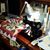 Caroline Callie Wickert Asher's profile image