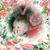 Nancy Jones's profile image