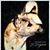 Joan Dalgleish's profile image
