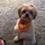 Patty Cervantez's profile image