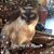 Lori Palomaris's profile image