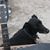Denine Clemons Hunt's profile image