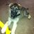 Lori Fehr's profile image