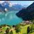 Saba Farooq's profile image