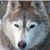 Nicole Trammel's profile image