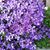 Sandy Lovelady's profile image